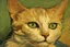 Placeholder: Portrait of a cat by Van Gogh