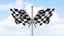 Placeholder: 2 checkered flags crossed at pole, vector