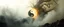 Placeholder: yin yang, earth elementals, depth of field, volume light, fog, a fluffy quickling twister