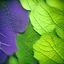 Placeholder: An out of focus, psychedelic and abstract microscopic serigraphy of leaves' texture. Image is almost white with subtle gradients. Colors are light green, deep purple and yellow. Heavy grain texture and vintage look.