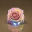 Placeholder: transparent multicolor crystal rose