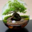 Placeholder: exquisite maple bonsai terrarium in a glass orb, petrified wood, pebbles, dewdrops, dappled sunlight, linen backdrop