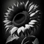 Placeholder: stylized sunflower bw