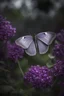 Placeholder: A breathtaking monochrome photograph with pops of vibrant purples, capturing a graceful grey butterfly with shimmering purple-tipped wings fluttering through a moonlit garden. As the butterfly lands on various plants, the grey flowers bloom into radiant purple blossoms, creating a stunning visual contrast. The composition masterfully interweaves the serene greys with bursts of purple, evoking a sense of nocturnal magic and delicate beauty in this enchanting, dreamlike scene.