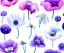 Placeholder: Vector anemone set illustration. Watercolor white backdrop