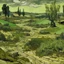 Placeholder: An olive green wasteland near an abandoned plague town painted by Vincent van Gogh