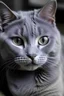 Placeholder: give me a cute gray cat with purple eyes no true