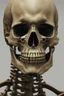 Placeholder: Close up of Face of a skeleton, gotic,no body 8k, hyper realistic, highly detailed, gothic