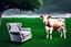 Placeholder: A cow sitting on an armchair in large dark green field , soft colors. Photorealistic