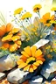 Placeholder: Sunny day, orange flowers, rocks, watercolor paintings