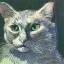 Placeholder: Portrait of a cat by Van Gogh