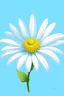 Placeholder: daisy flower drawing all white onlight blue background