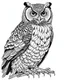 Placeholder: real massive Owl, coloring page, full body (((((white background))))), only use an outline., real style, line art, white color, clean line art, white background, Sketch style