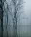 Placeholder: christmas tree in a misty swamp