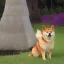 Placeholder: shiba inu heavenly aspect, glowing aura