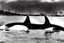 Placeholder: An orca army fighting in WW2, swimming up a stream to attack