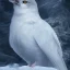 Placeholder: smooth hyper realistic, beautiful Japanese snow bird in crown, pale colors, dark cosmos background, cat еye, extremely sharp detail, finely tuned detail, ultra high definition, 8 k, unreal engine 5, ultra sharp focus, accurate sword wings, positive smile, lot of details, fit within portrait, Ambiance winter, perfect composition, perfect hair, perfect hands, finger up gestures