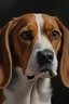 Placeholder: beagle