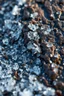Placeholder: Ultra realistic macro photography of ice crystals forming on a wet rock surface, frozen water droplets, intricate natural frost patterns, soft cold light, extremely detailed micro textures, shallow depth of field, Canon EOS R5, 100mm macro lens, f/2.8, ISO 100, ultra photorealistic, 8k, nature macro photography