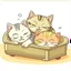 Placeholder: kittens sleeping cartoon