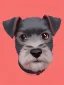 Placeholder: cute miniature schnauzer portrait