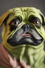 Placeholder: dog and pepe the frog combination