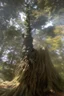 Placeholder: turn this tree trunk into a mountain coming out of the sea