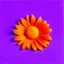 Placeholder: an orange flower laying on a purple surface
