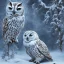 Placeholder: snow OWL