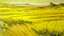 Placeholder: Yellow volcanic grasslands painted by Raymond Duchamp-Villon