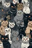 Placeholder: cats