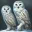 Placeholder: snow OWL