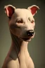 Placeholder: bald alien dog,magnificent, majestic, highly intricate, Realistic photography, incredibly detailed, ultra high resolution, 8k, complex 3d render, cinema 4d.