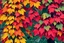 Placeholder: pop art pixels 1000 images english leaves in spring in the style of klimt
