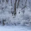 Placeholder: winter landscape, bells, glimmering, ice, crystals