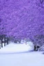 Placeholder: Purpke snow