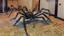 Placeholder: tarantula escaping hotel room while two people scream and run frantically