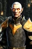 Placeholder: An old male altmer battlemage from Skyrim with golden-orange eyes