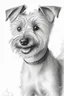 Placeholder: Detailedpencil drawing of a cheeky terrier dog