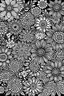 Placeholder: mandala flowers, patterns an outline and black and white