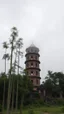 Placeholder: realistic photo of a tall bamboo trees in a landscape, a tower from the ancient summaries ruins with foggy clouds and gray sky