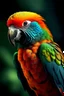 Placeholder: beautiful parrot