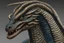 Placeholder: cobra dragon hyperrealiste