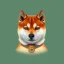 Placeholder: shiba inu with pepe the frog