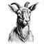 Placeholder: goat illustration White background with black uniform no color