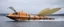Placeholder: boat that looks like a hornet