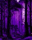 Placeholder: purple energy in forest trees