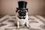 Placeholder: pug with a top hat and monocle on sitting on a rug