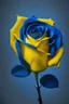 Placeholder: high-res minimalistic picture showing the yellow-blue rose