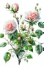 Placeholder: bushes with fresh live roses after the rain, gentle light from inside the flower, every vein is visible, transparent petals in dew drops, like crystal, watercolor drawing, photorealism,bright, fun, glare, white background, pixel study, hyperdetalization, realistic, high resolution, hyperdetalization, professional, filigree, mystical haze, overdetalization, hyperrealism, professionally intrude details, transparent, delicate pastel tones, back lighting, 5d, 256k2